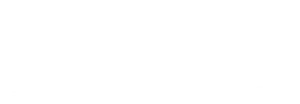 VJ Palladio Presidential Suites Balewadi Logo Image